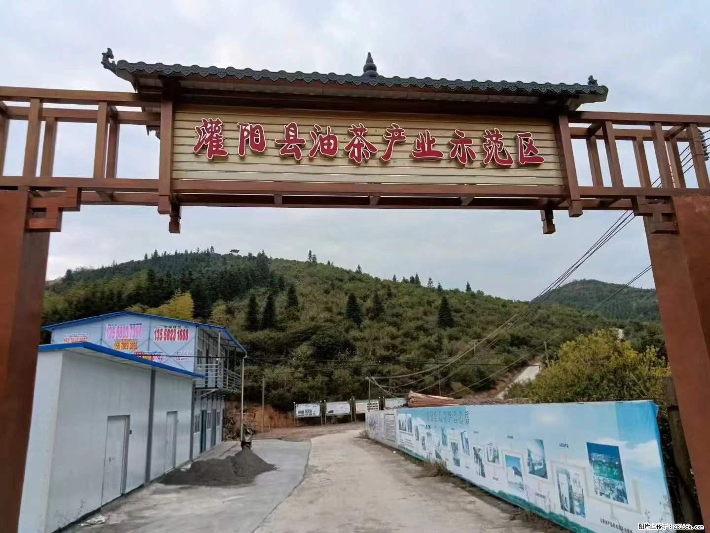 【灌阳县油茶产业示范区】一个有着充实的精神生活的人，对待身外之物自会有一种淡泊的态度 - 美食天地 - 滁州生活社区 - 滁州28生活网 chuzhou.28life.com