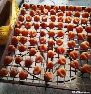 广西桂林平乐桥亭【柿饼之乡】2025年纯手工制作、无任何添加剂的第一批柿饼准备上市了，欢迎联系订购！ - 滁州28生活网 chuzhou.28life.com