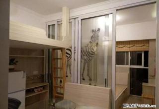天逸华府,市政府旁,新精装公寓,全配,拎包入住 - 滁州28生活网 chuzhou.28life.com