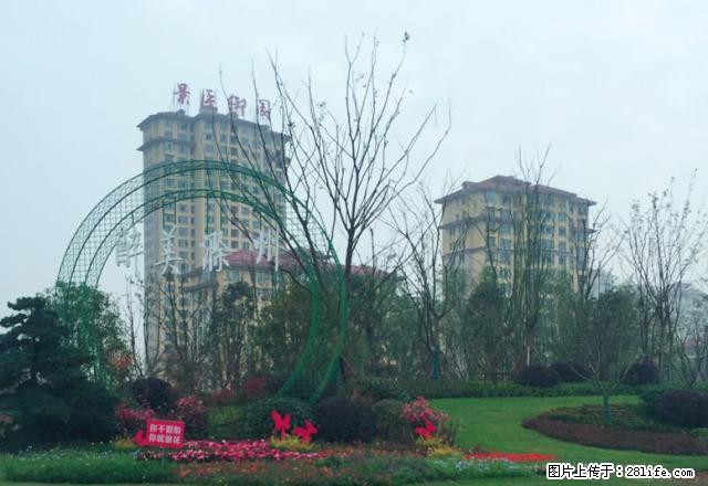 滁州城南大学城商务家庭套房式公寓 - 房屋出租 - 房屋租售 - 滁州分类信息 - 滁州28生活网 chuzhou.28life.com