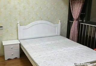大金新百精装全配公寓房出租,长期价格可谈 - 滁州28生活网 chuzhou.28life.com