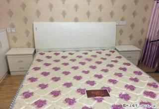 大金新百精装全配公寓房出租，长期价格可谈 - 滁州28生活网 chuzhou.28life.com