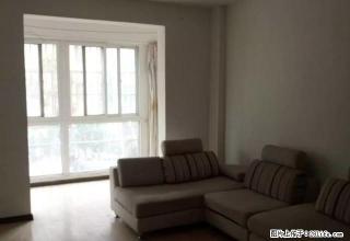 九九广场精装公寓领包入住,对外出租 - 滁州28生活网 chuzhou.28life.com