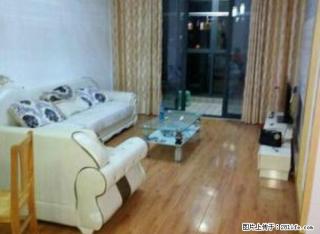 龙蟠大道 发能国际城 比邻99广场 精装2室家电齐全拎包入住 - 滁州28生活网 chuzhou.28life.com