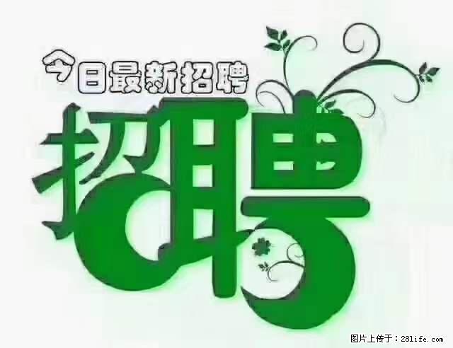 【招聘摄像师】待遇:试用期6000元/月,转正7000元/月+五险一金+餐补+节日福利+奖金 - 职场交流 - 滁州生活社区 - 滁州28生活网 chuzhou.28life.com