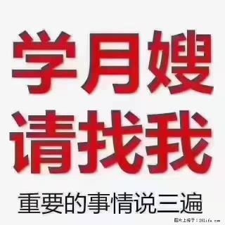 【招聘】月嫂，上海徐汇区 - 滁州28生活网 chuzhou.28life.com