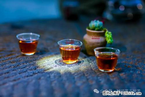 时间果百年古树2025年春红茶 - 购物交流 - 滁州生活社区 - 滁州28生活网 chuzhou.28life.com