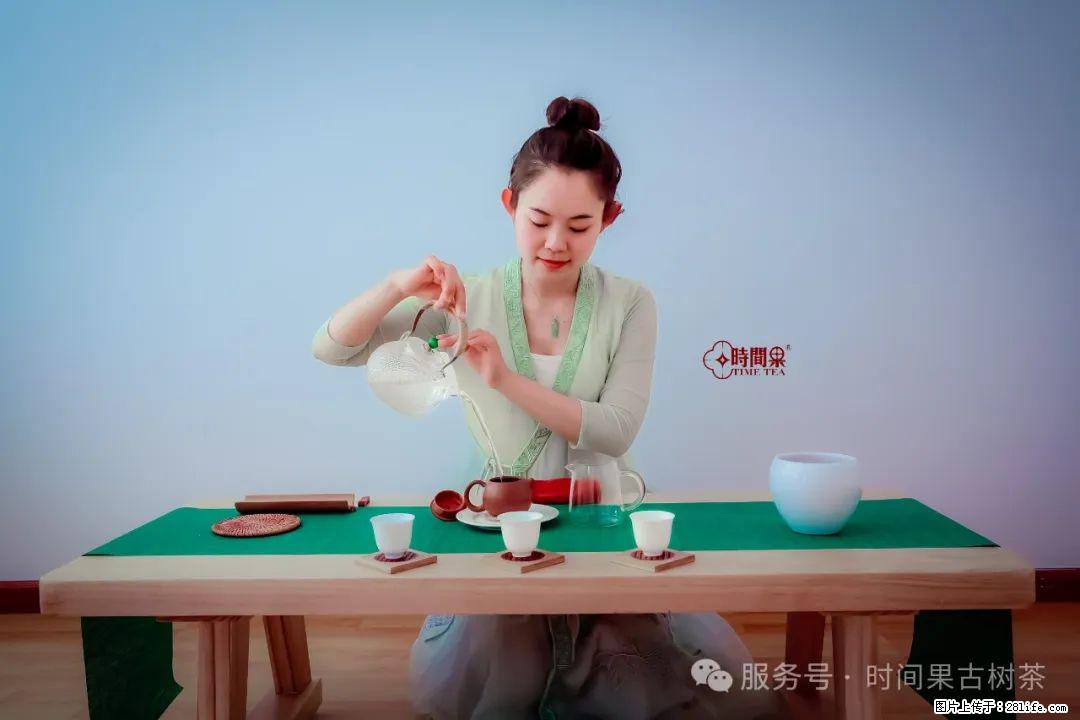 时间果百年古树龙珠普洱生茶 - 购物交流 - 滁州生活社区 - 滁州28生活网 chuzhou.28life.com