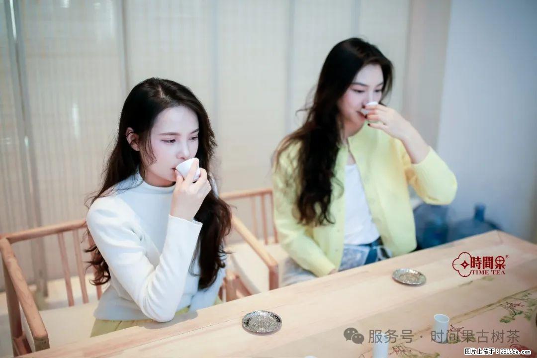 时间果百年古树龙珠普洱生茶 - 购物交流 - 滁州生活社区 - 滁州28生活网 chuzhou.28life.com