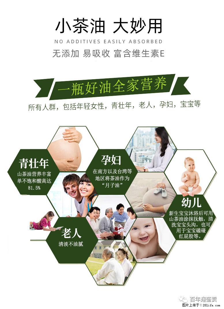 世界没有真相,只有认知,最好的食用油是中国的山茶油! - 滁州生活资讯 - 滁州28生活网 chuzhou.28life.com
