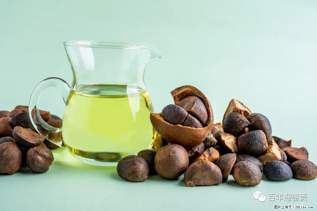 世界没有真相,只有认知,最好的食用油是中国的山茶油! - 滁州生活资讯 - 滁州28生活网 chuzhou.28life.com