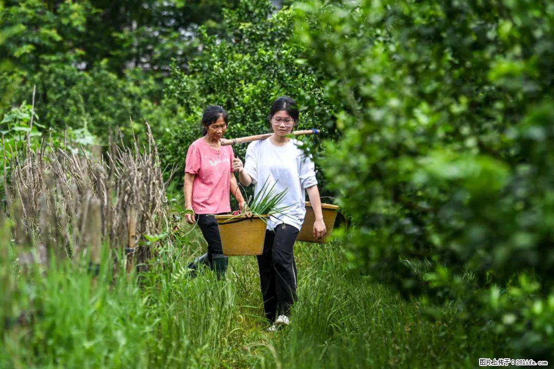 全网追的“扁担女孩”，找了一份暑假工，时薪12元 - 滁州生活资讯 - 滁州28生活网 chuzhou.28life.com