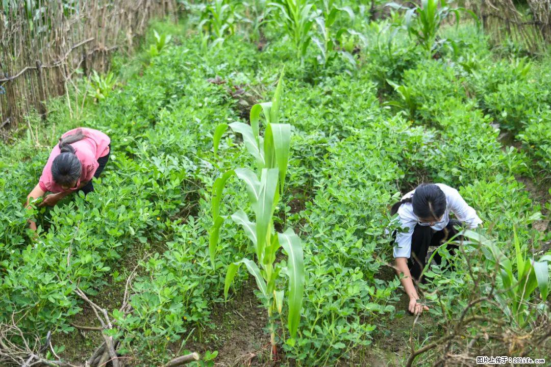 全网追的“扁担女孩”，找了一份暑假工，时薪12元 - 滁州生活资讯 - 滁州28生活网 chuzhou.28life.com