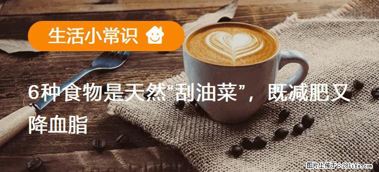 【生活小常识】6种食物是天然“刮油菜”，既减肥又降血脂 - 滁州生活资讯 - 滁州28生活网 chuzhou.28life.com