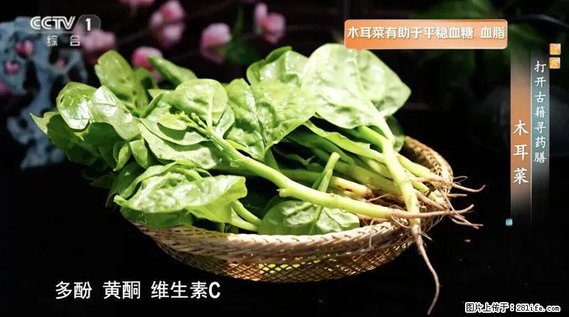 比牛奶补钙还厉害！凉血解毒、稳血糖...这菜冬天必吃，很多人却当草 - 滁州生活资讯 - 滁州28生活网 chuzhou.28life.com