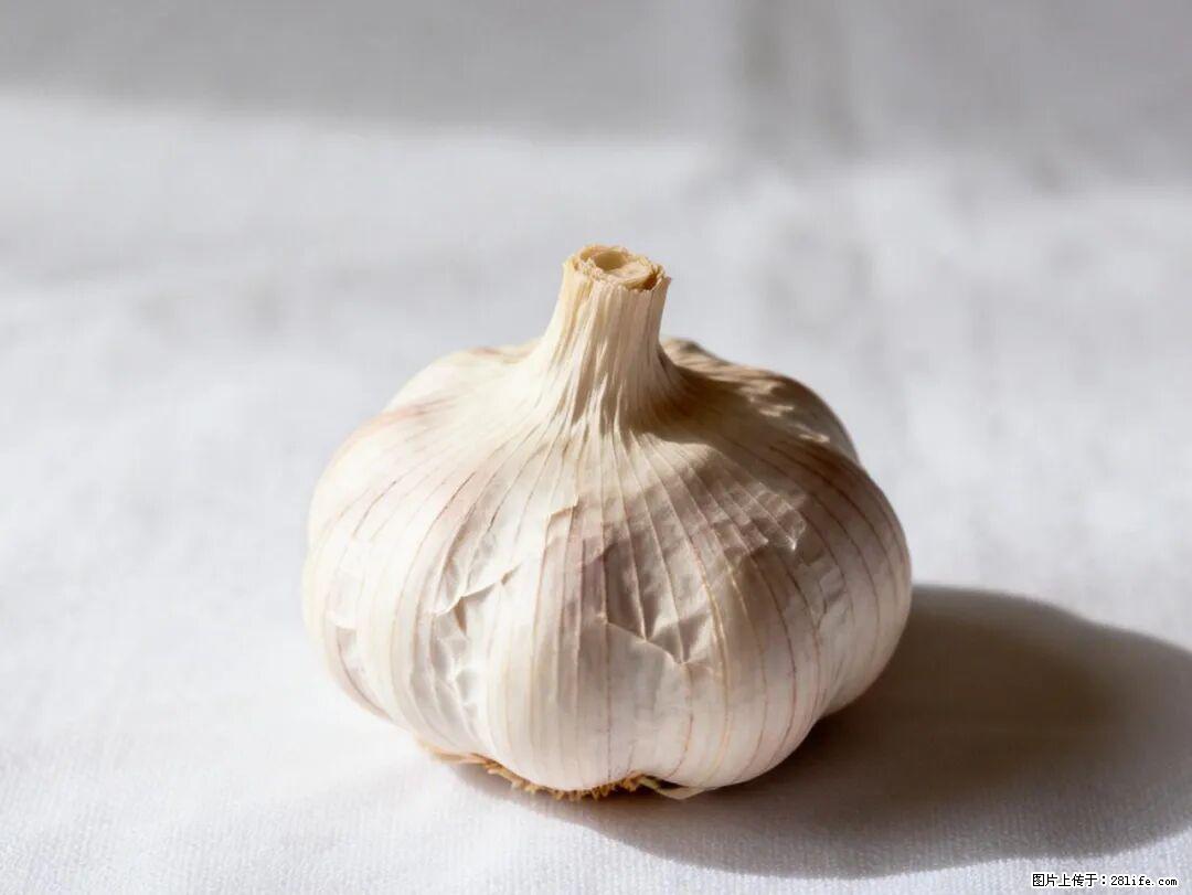 关于大蒜，除了“天然抗生素”，这4个谣言更该警惕! - 滁州生活资讯 - 滁州28生活网 chuzhou.28life.com