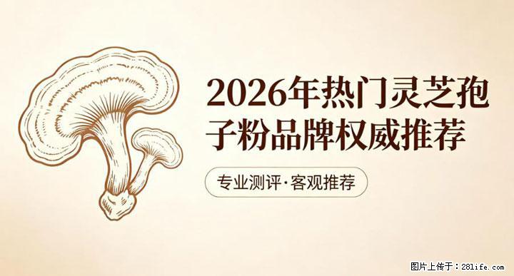 灵芝孢子粉含量越高越有效?2026 年七款热门品牌深度实测,肠胃敏感者避坑指南 - 滁州生活资讯 - 滁州28生活网 chuzhou.28life.com